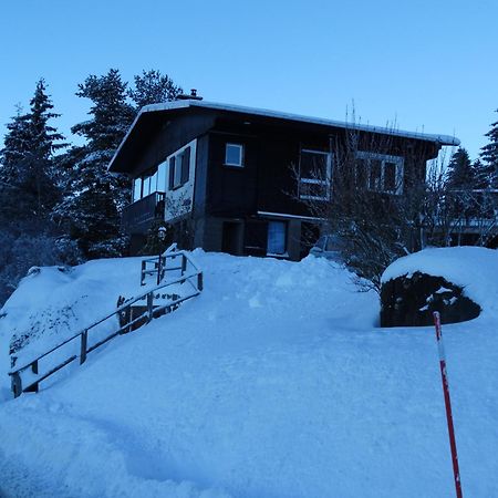 Gite "Les Essis" Gérardmer Екстериор снимка